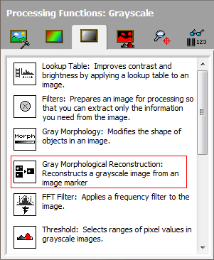 Gray Morphology ReconstructionҶ̬ѧؽ