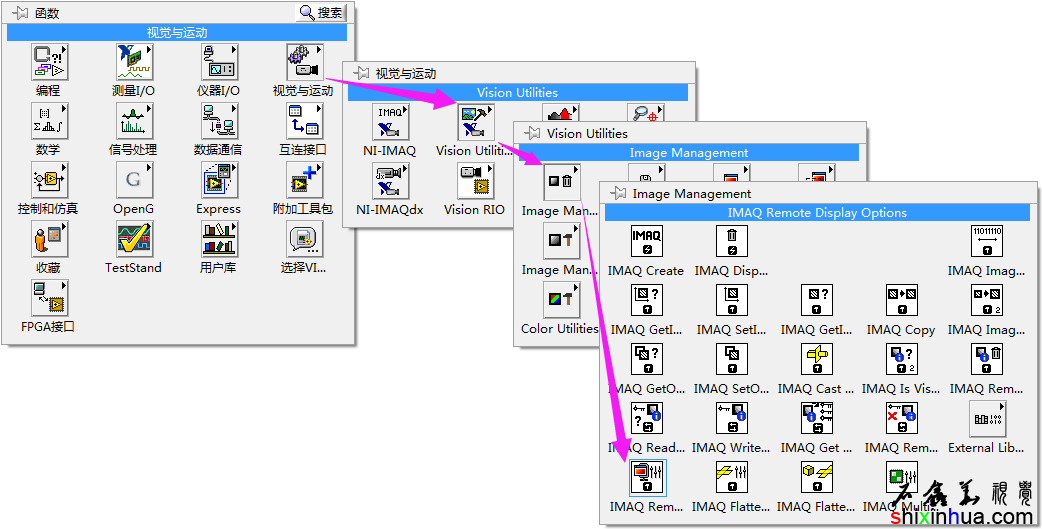 IMAQ Remote Display OptionsԶʾѡڳѡеλ