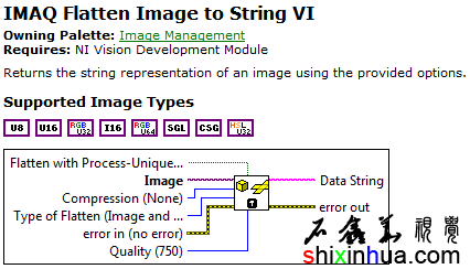 IMAQ Flatten Image to StringƽͼΪַ˵֧ͼ߶